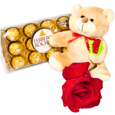 Urso Ferrero T12